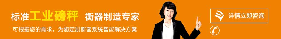 聯系山東電子電子定量包裝秤、無人值守稱重系統(tǒng)廠家
