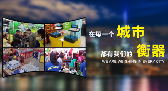 可以對(duì)衡器進(jìn)行偏載（四角）參數(shù)、量程參數(shù)、空秤參數(shù)進(jìn)行自動(dòng)和手動(dòng)校準(zhǔn)。